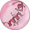 proteomics icon